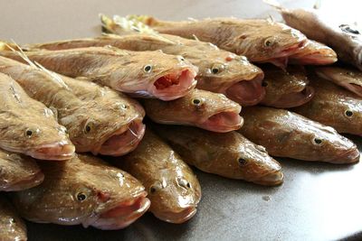 High angle view of fish on table