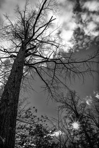 Low angle view of bare tree against cloudy sky