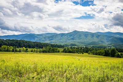 Scenic view of field against sky