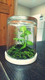 Close-up of jar on table