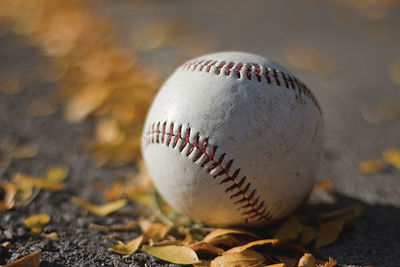 Close-up of baseball and leaves on field