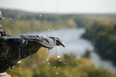 Close-up of water splashing