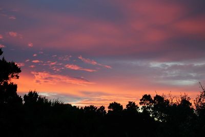 Silhouette trees against dramatic sky during sunset