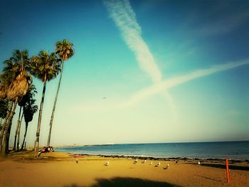 Scenic view of beach against blue sky