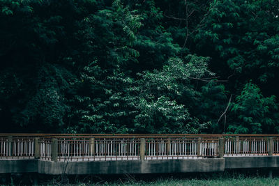 Footbridge against trees