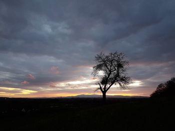 Silhouette tree on field against sky during sunset