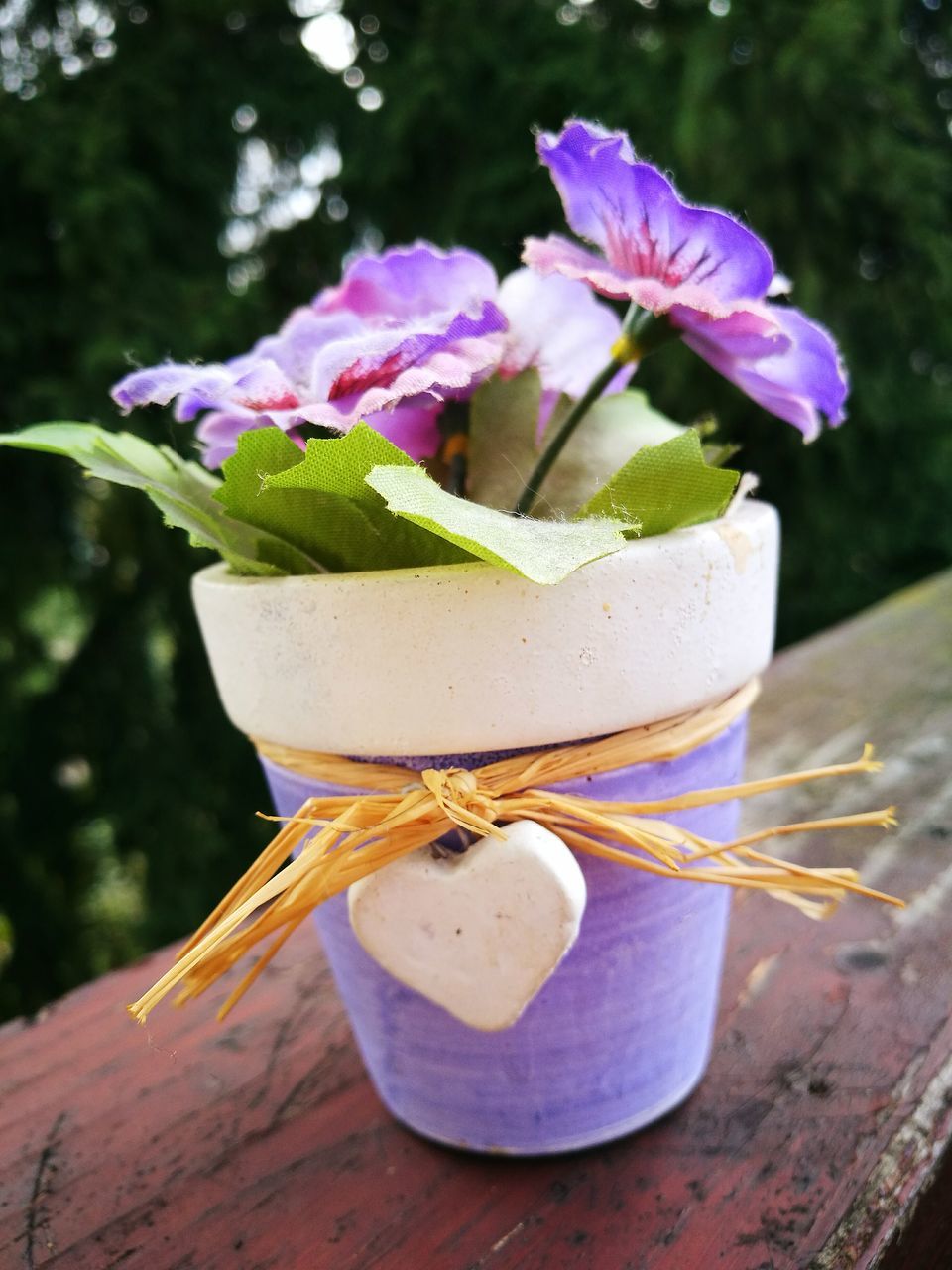 flower, freshness, food and drink, no people, close-up, table, focus on foreground, fragility, outdoors, day, sweet food, nature, flower head, beauty in nature, food