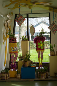 Potted plants on window sill