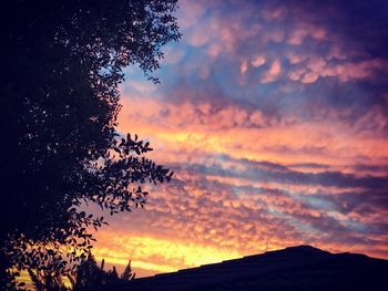 Low angle view of silhouette trees against dramatic sky