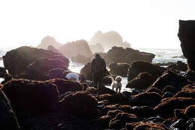 Rear view of people on rock against sky