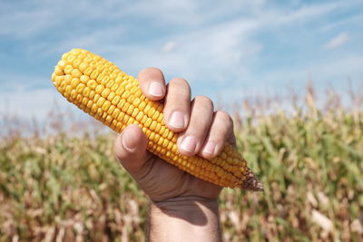 Close-up of cropped hand on field