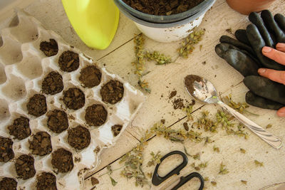 High angle view of soil in seedling tray