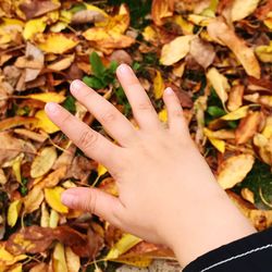 Close-up of hand touching autumn leaves