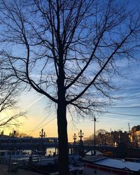 Bare trees against sky at sunset