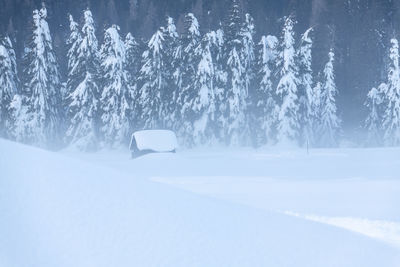 Scenic view of snow covered landscape