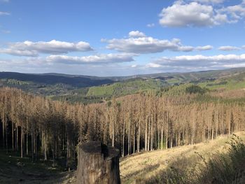 Panoramic view of landscape against sky