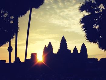 Silhouette of palm trees at sunset