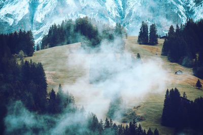 High angle view of waterfall in forest