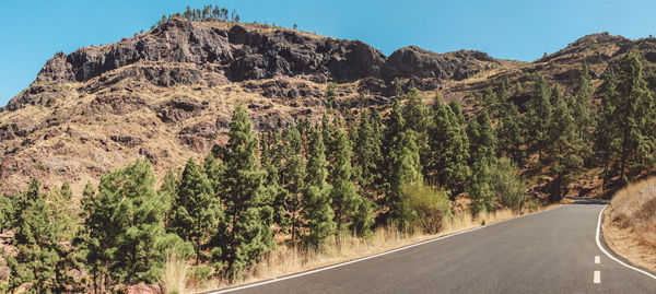 Panoramic shot of road amidst trees against clear sky