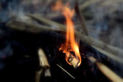 Close-up of bonfire at night