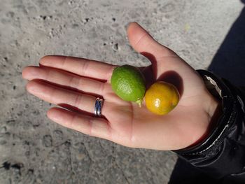 Close-up of hand holding fruit