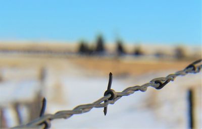 Close-up of barbed wire