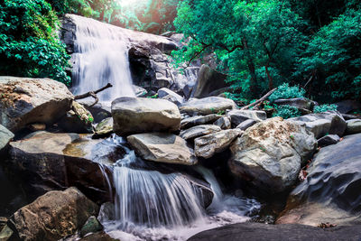 View of waterfall in forest