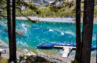 Scenic view of lake against trees