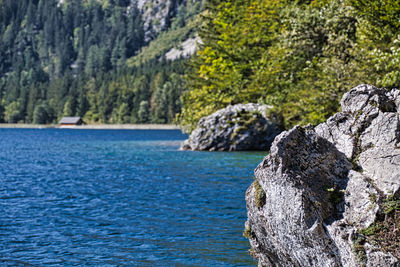 Scenic view of rocks by sea against trees in forest