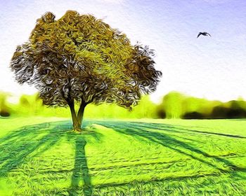 Trees on grassy field