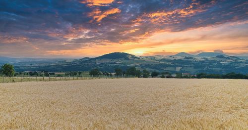 Scenic view of field against sky during sunset