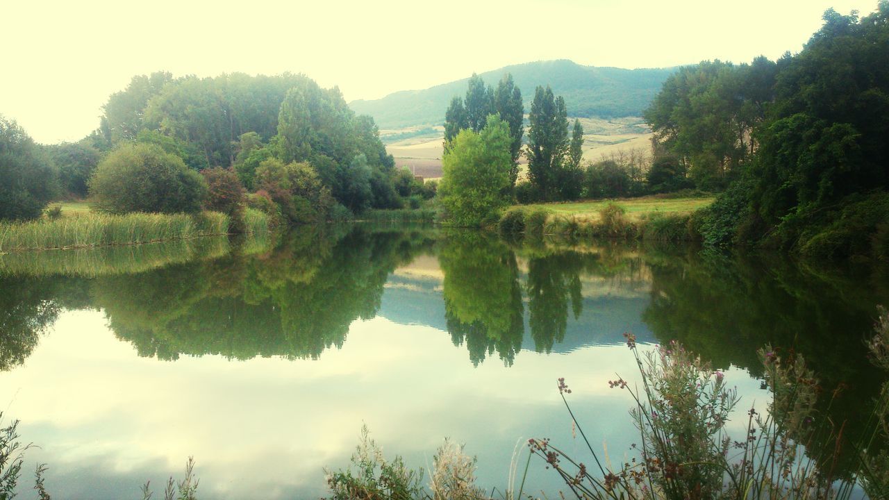 reflection, tree, tranquil scene, tranquility, water, lake, scenics, beauty in nature, nature, standing water, sky, growth, green color, idyllic, landscape, non-urban scene, calm, symmetry, day, outdoors