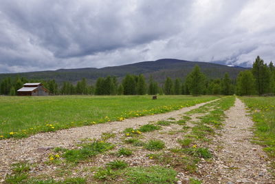 Scenic view of field against sky