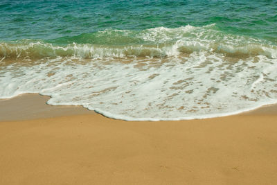 Aerial view of beach