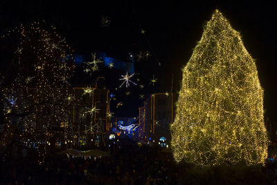 Illuminated christmas tree by buildings in city at night