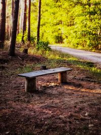 Bench by trees in forest