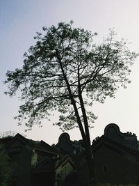 Low angle view of building against sky