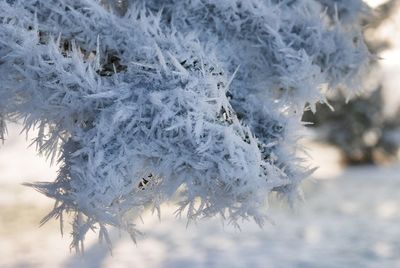 Close up of snow