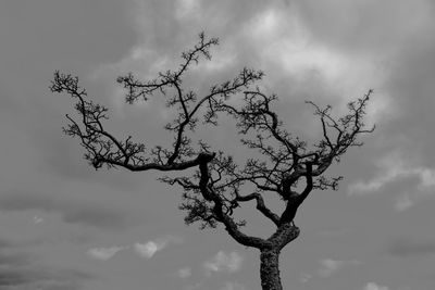 Low angle view of bare trees against cloudy sky