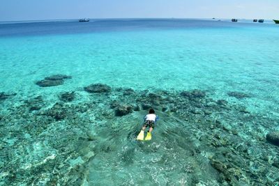 High angle view of man swimming in sea