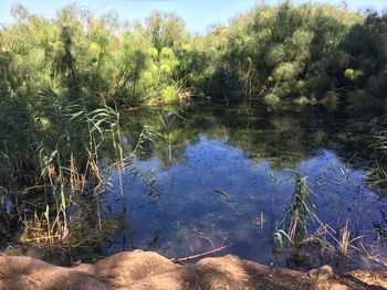 Scenic view of lake