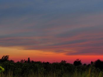 Silhouette trees on field against orange sky