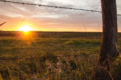 Scenic view of landscape at sunset