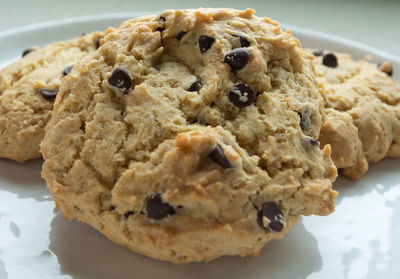 Close-up of cookies in plate