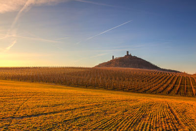 Scenic view of agricultural field against sky during sunset