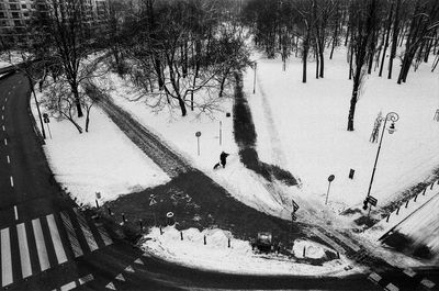 High angle view of trees on snow covered land