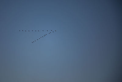 Low angle view of birds flying in sky