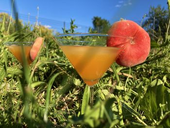 food and drink