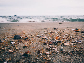 Surface level of beach against sky