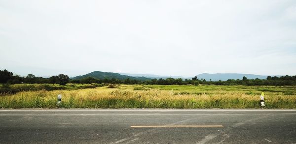 Panoramic rural landscape in summer